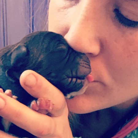 Jamen Corso Semiz Ki-Ma x Colpa Della Luce Lampona